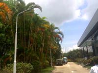 【厂区路灯改造】深圳业聚医疗器械